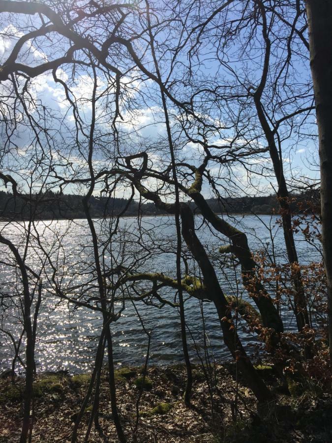 Ferienwohnung Am Wald Hachenburg Esterno foto