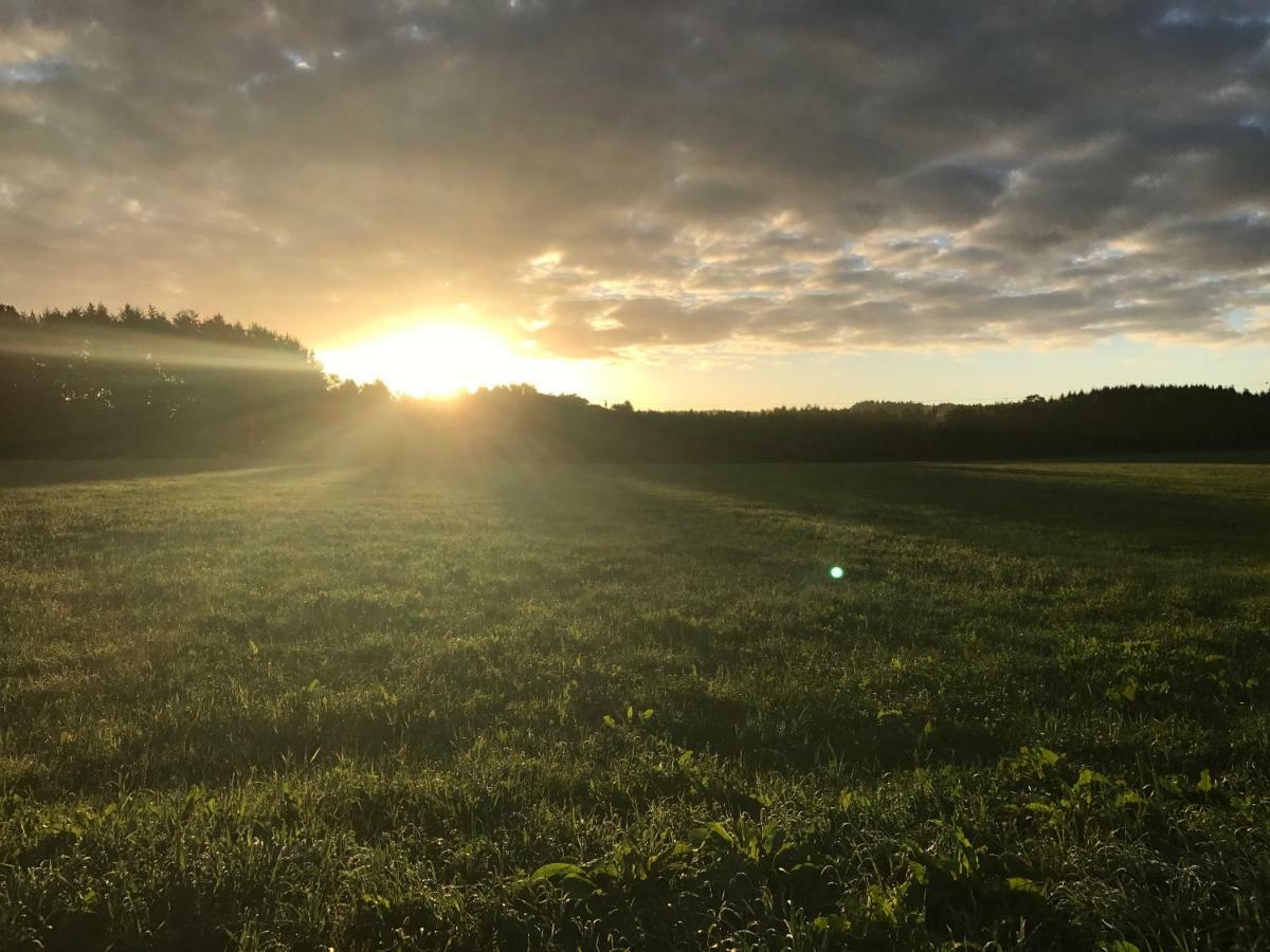 Ferienwohnung Am Wald Hachenburg Esterno foto