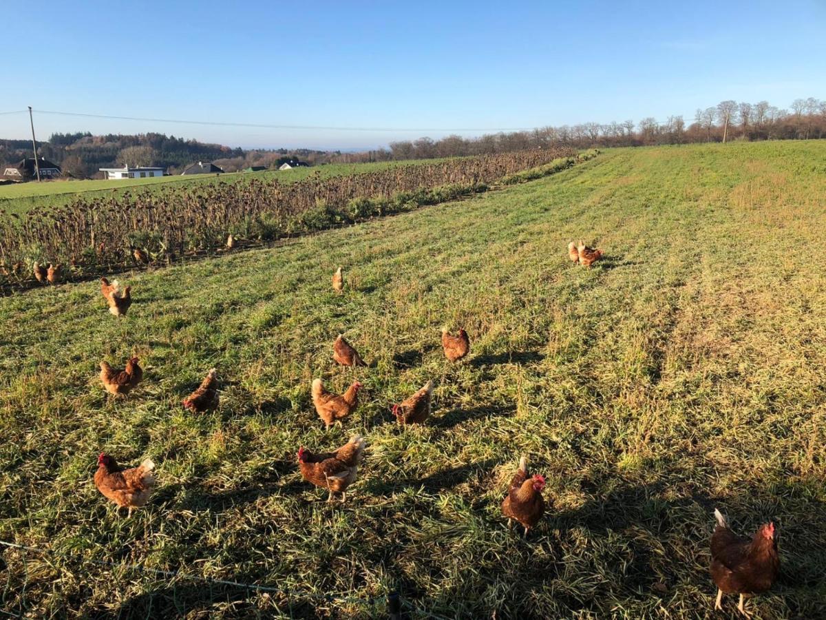 Ferienwohnung Am Wald Hachenburg Esterno foto
